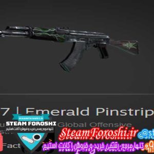 فروش آیتم cs go کد 2079