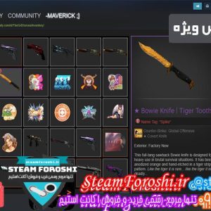 فروش آیتم cs go کد 2519