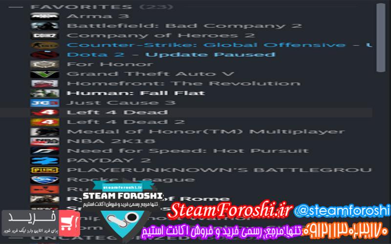 فروش اکانت استیم کد ۴۱۹۸