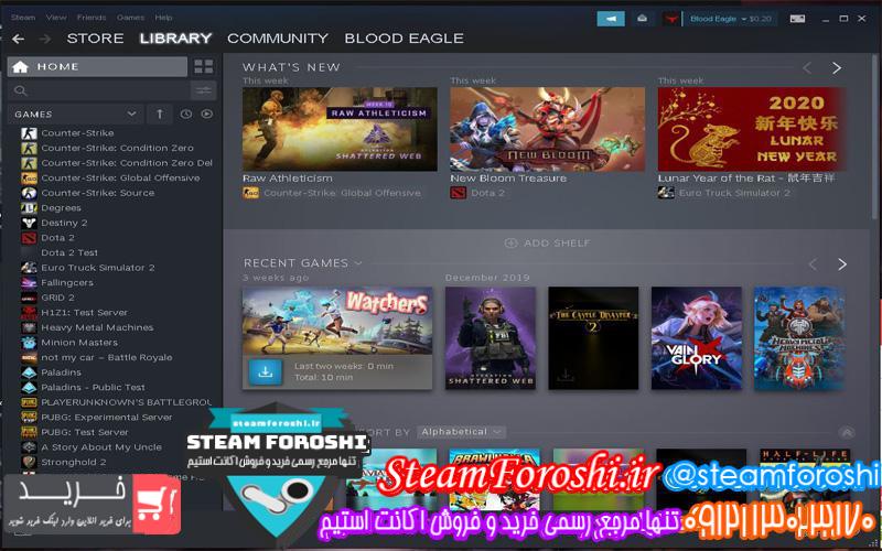 فروش اکانت استیم کد ۴۴۰۱