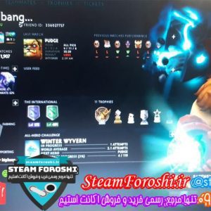 فروش اکانت دوتا ۲ کد ۴۵۰۴