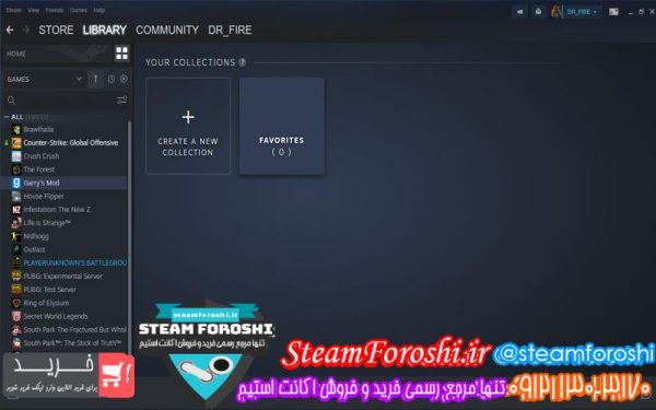 فروش اکانت استیم کد ۴۹۱۹