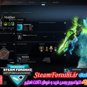 فروش اکانت دوتا ۲ کد 5284