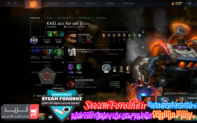 فروش اکانت دوتا ۲ کد ۸۰۰۴