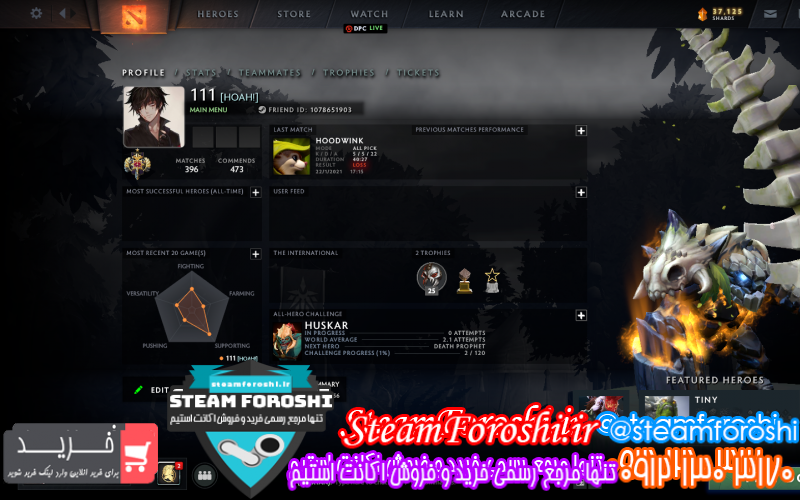 فروش اکانت دوتا ۲ کد ۸۱۳۰