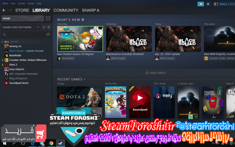 فروش اکانت استیم کد ۹۱۷۶