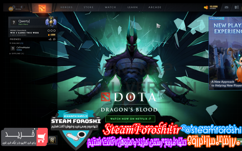 فروش اکانت دوتا ۲ کد ۹۰۶۴