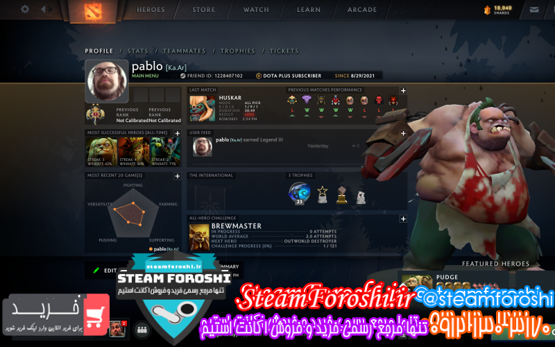 فروش اکانت دوتا ۲ کد ۱۰۰۰۴