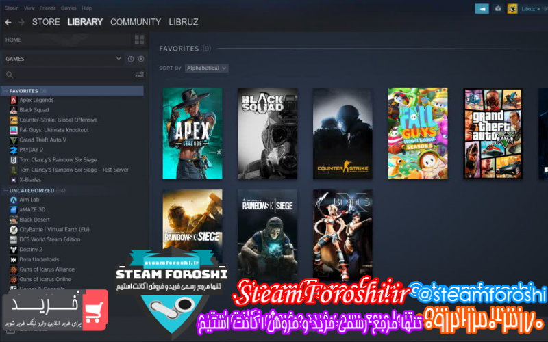 فروش اکانت استیم کد ۱۰۱۱۶