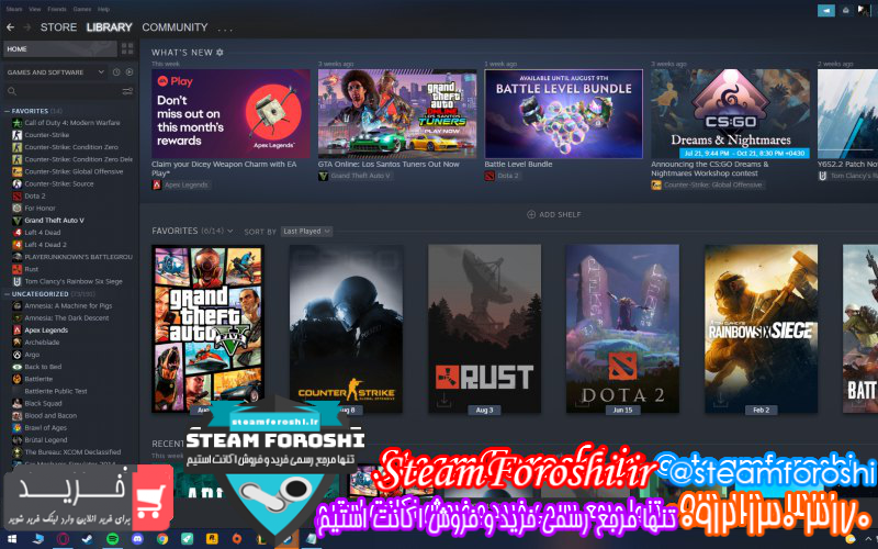 فروش اکانت استیم کد ۱۰۰۲۸