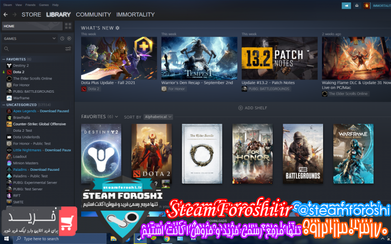 فروش اکانت استیم کد ۱۰۰۳۹