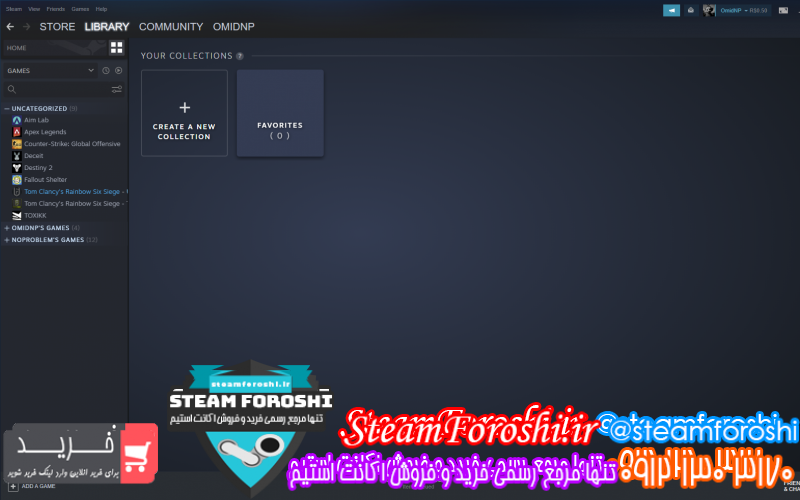 فروش اکانت استیم کد ۱۰۲۸۱