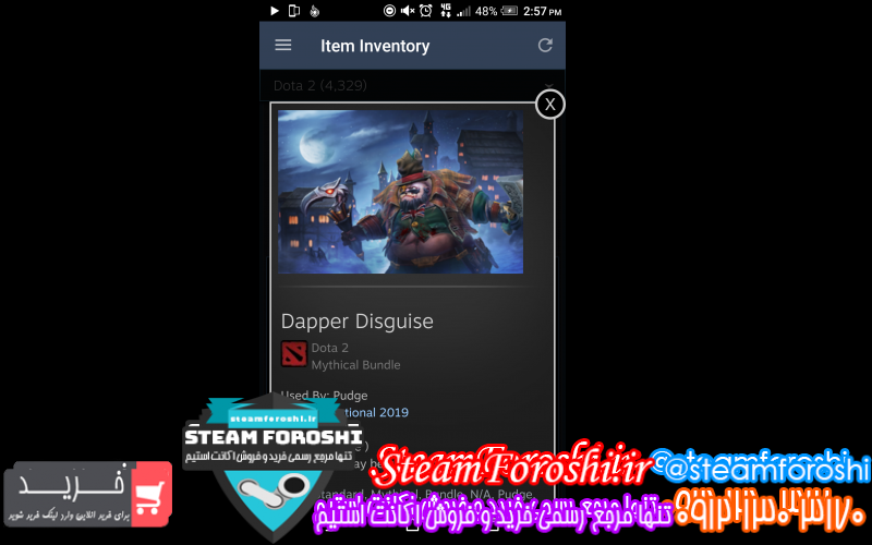 فروش آیتم دوتا ۲ کد ۱۰۵۵۶