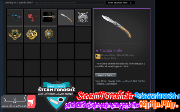 فروش آیتم cs go کد ۱۰۸۱۶