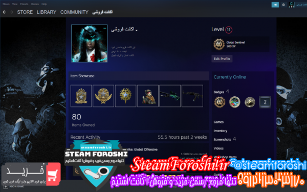 فروش اکانت cs go کد ۱۰۹۱۱