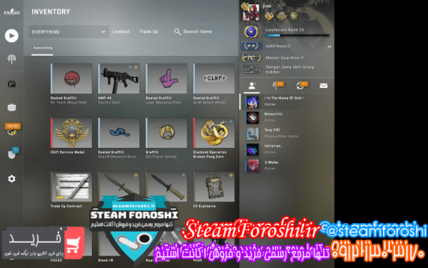 فروش اکانت cs go کد ۱۱۱۷۹