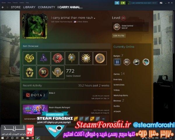 فروش اکانت cs go کد 12009