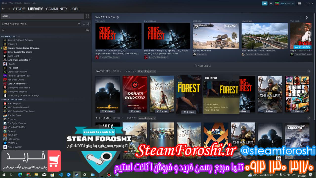 فروش اکانت استیم کد 12783