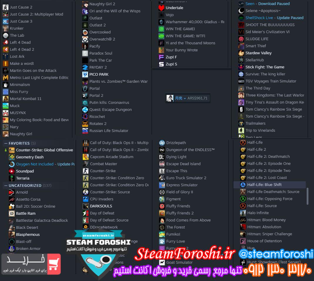 خرید اکانت استیم کد 13179