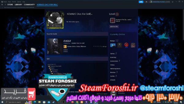 خرید اکانت cs go کد 13207