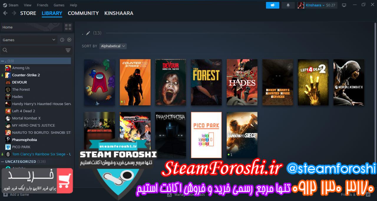 خرید اکانت استیم کد 13819