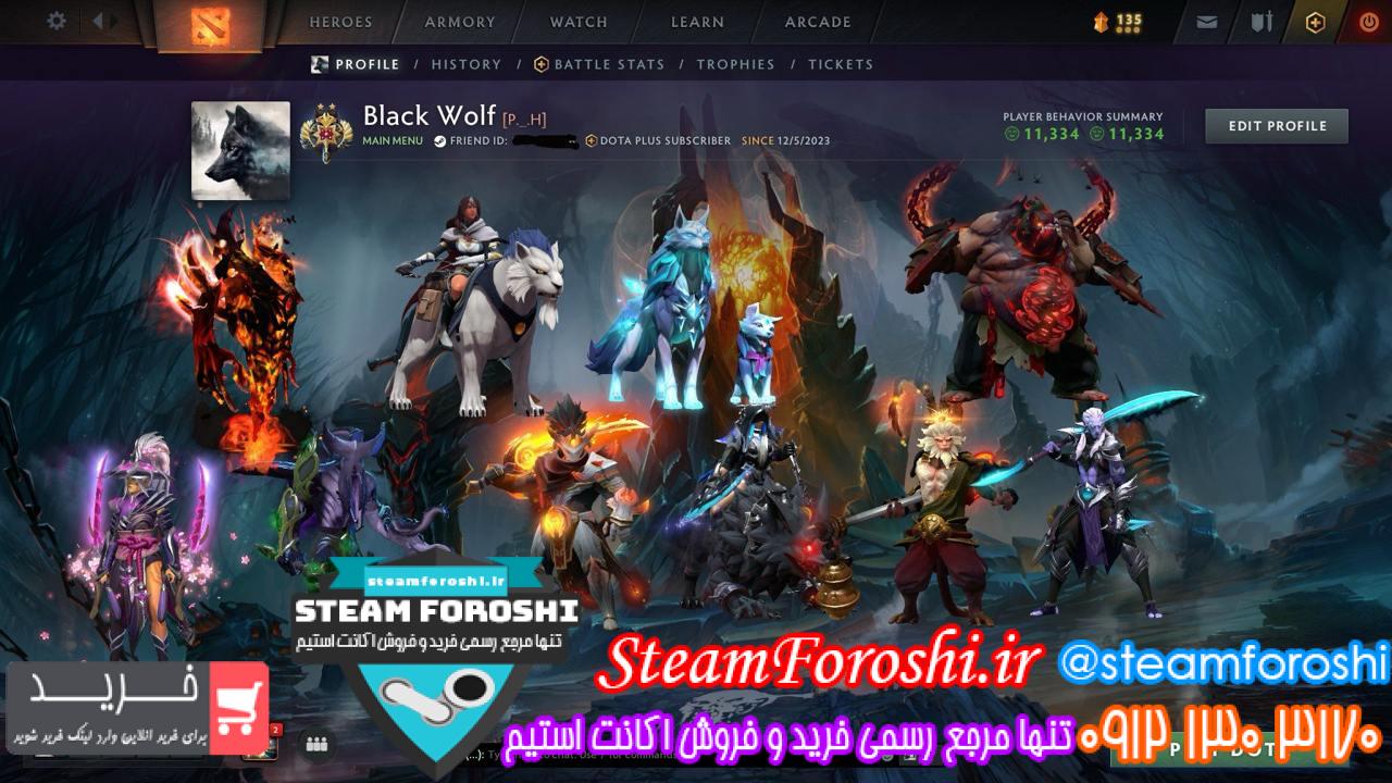 خرید اکانت دوتا 2 کد 14282