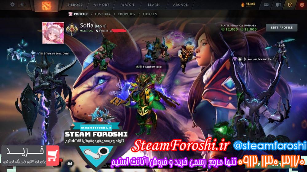 خرید اکانت دوتا 2 کد 14392