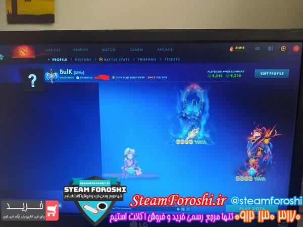 خرید اکانت دوتا 2 کد 14508