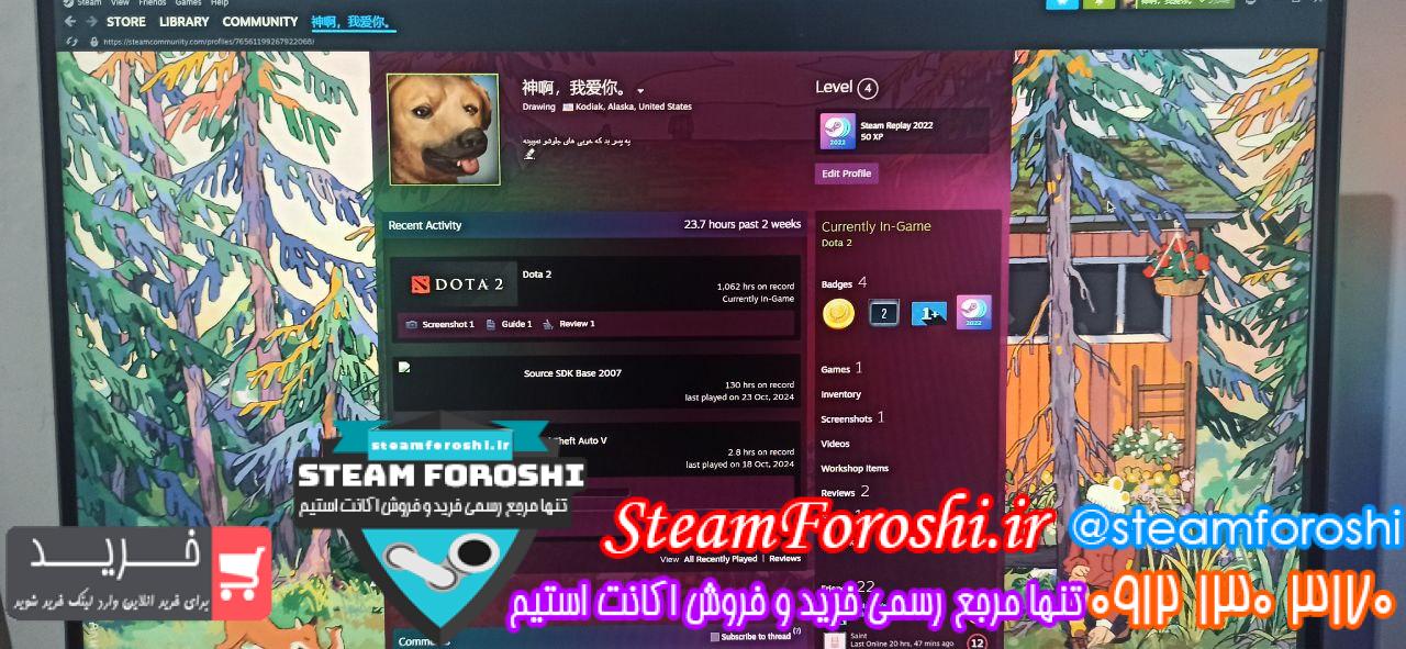 خرید اکانت دوتا 2 کد 14566