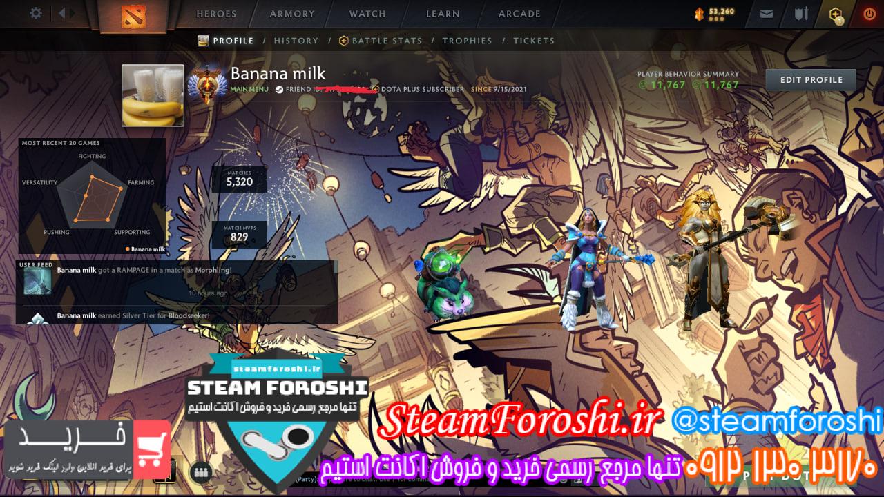 خرید اکانت دوتا 2 کد 14616