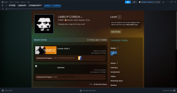 خرید اکانت cs go کد 15424